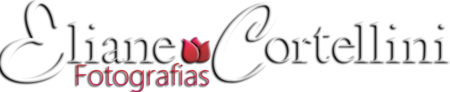 Logo de Fotografa de  Gestante, Família, Sensual, Chapecó, Eliane Cortellini, 