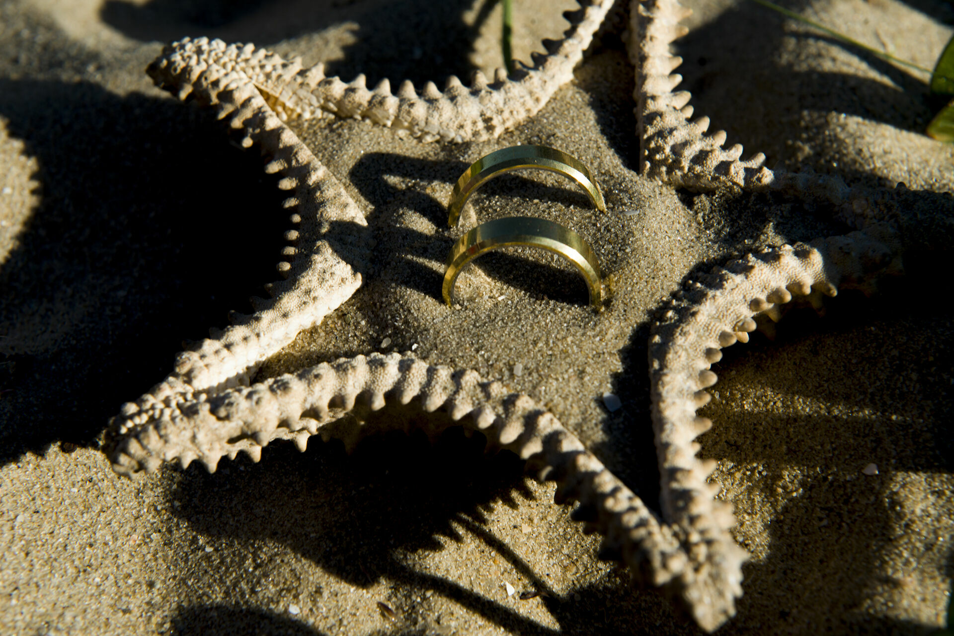 Foto Casamento Jean e Leonardo Barra Velha , Balneario Picarras - Imagem 7