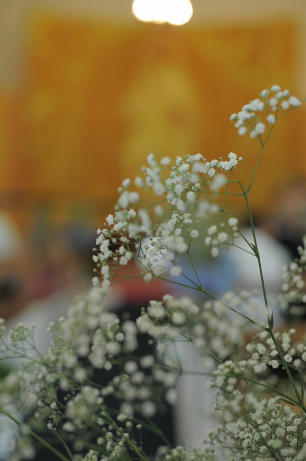 Foto Casamento Barra Velha , Picarras, Penha - Imagem 17