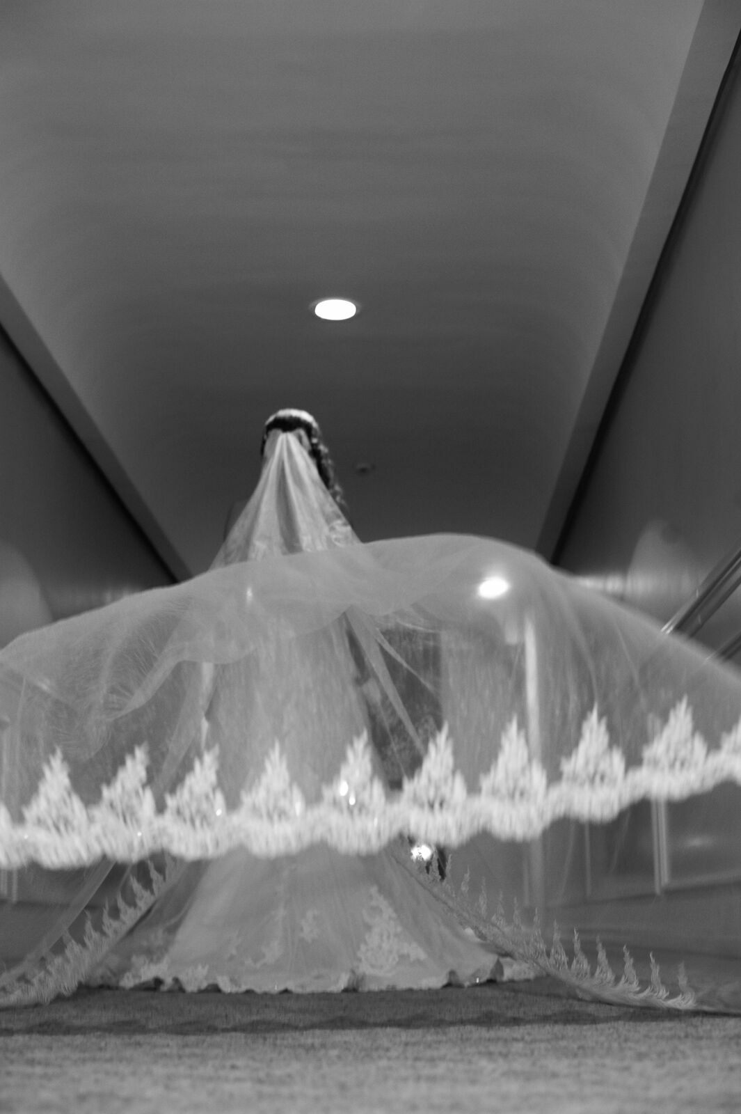 Foto Casamento Barra Velha , Picarras, Penha - Imagem 28