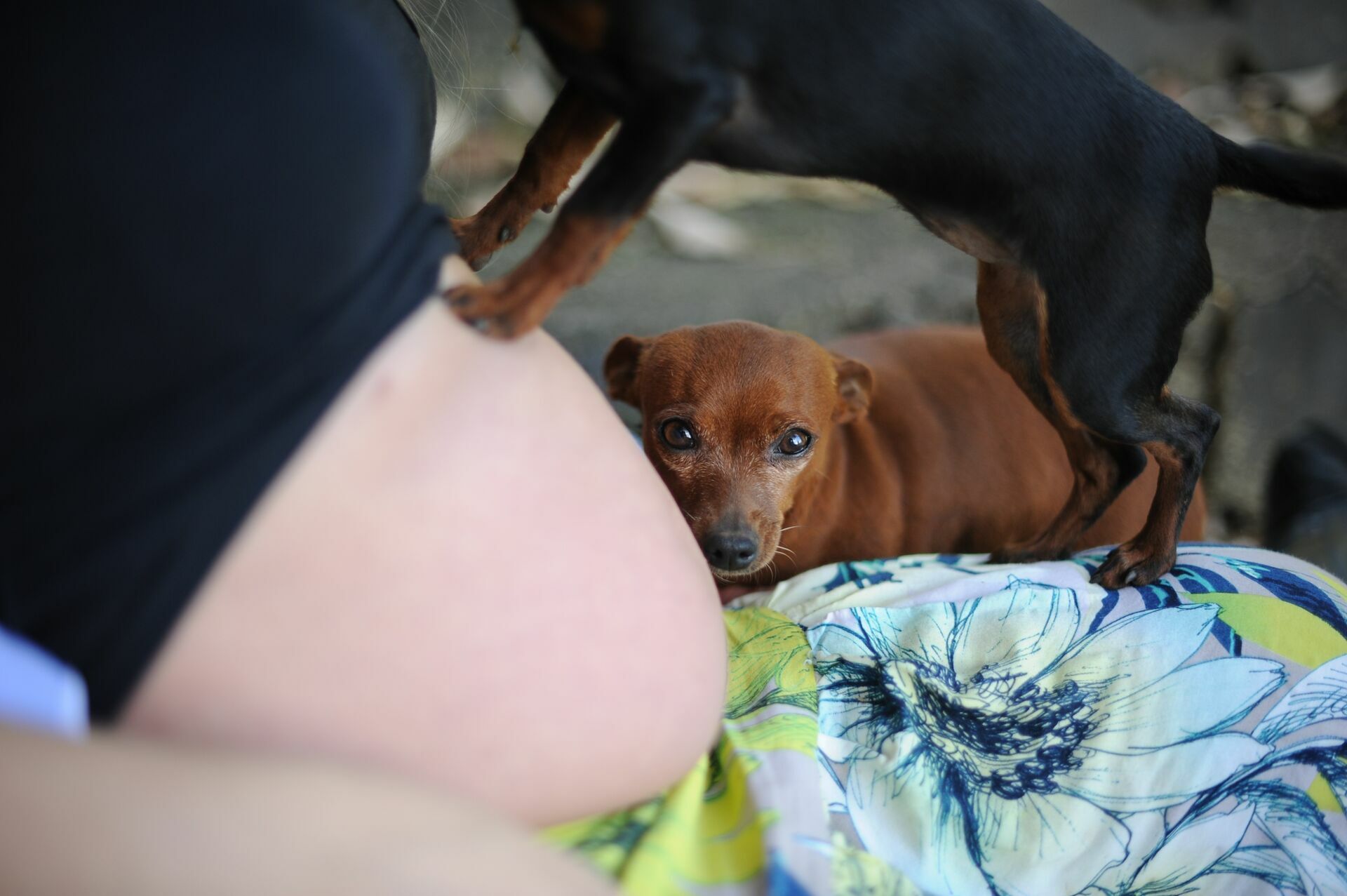 Foto Dia das mães, em casa ou na praia, Balneario Picarras, Barra Velha - Imagem 0