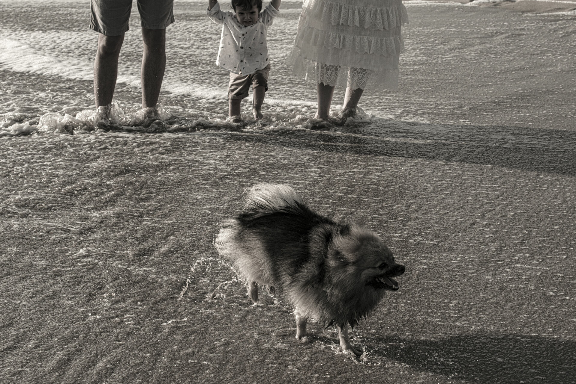 Foto Familia na praia, piquenique Barra Velha , Picarras - Imagem 1